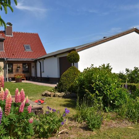 Apartment In Robertsdorf With Garden, Terrace, Barbecue Blowatz Rom bilde